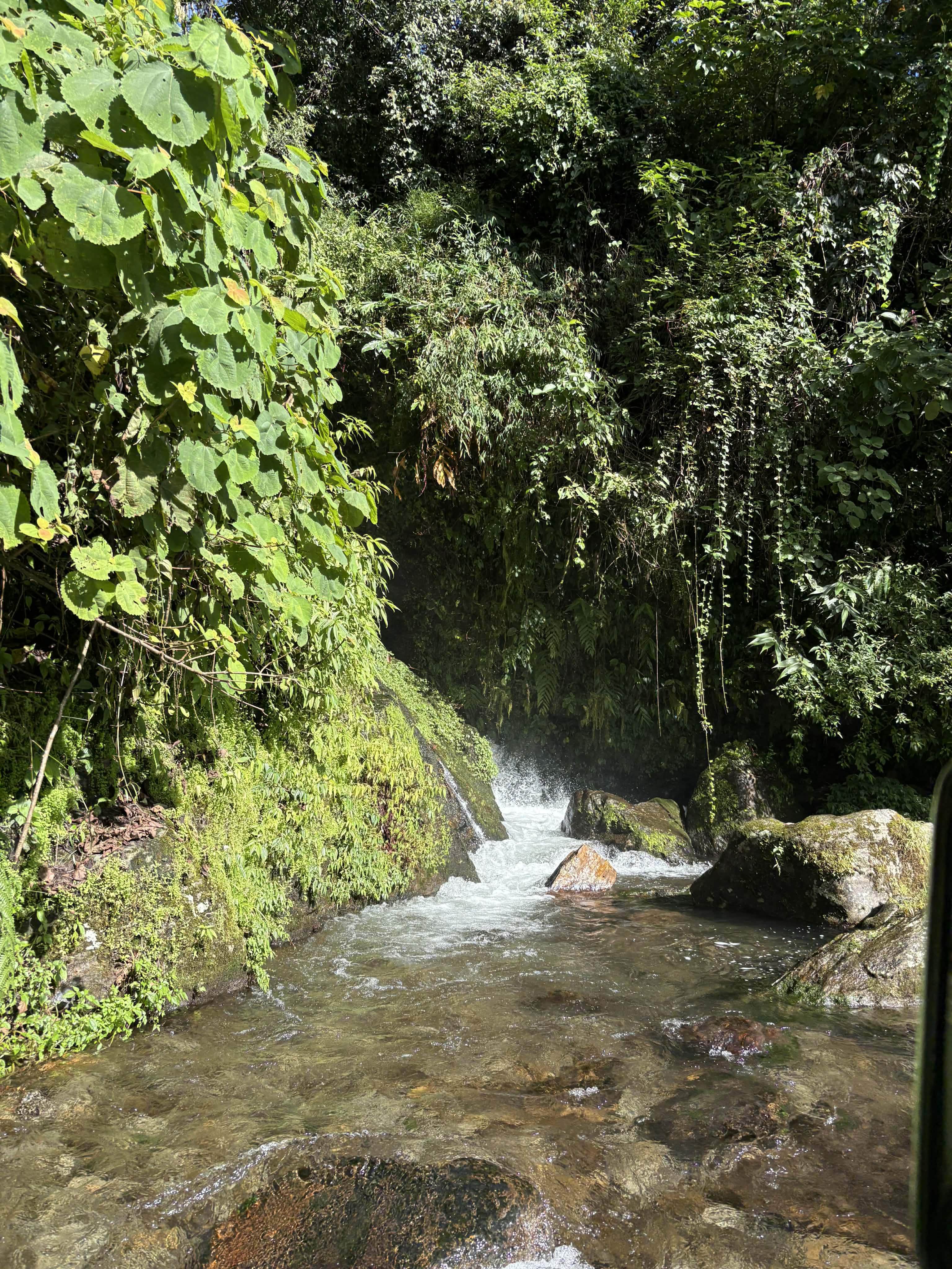 A serene, flowing stream nestled in a lush green environment.