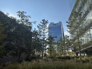 A city view of tall modern buildings partly hidden by greenery in Osaka.