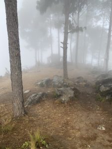 A mist-covered temple in the hills of Bandipur, surrounded by trees, creating a mysterious, movie-like atmosphere.