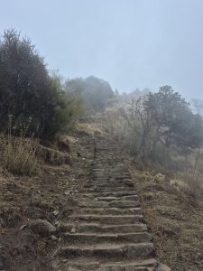 
A set of stone steps leads up a steep, foggy hillside. 