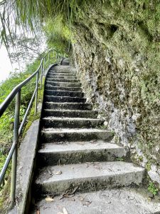 A narrow stone staircase climbs along a rocky cliff with greenery beside the Seti Gandaki River, Pokhara, Nepal, offering a calm walking path surrounded by nature.