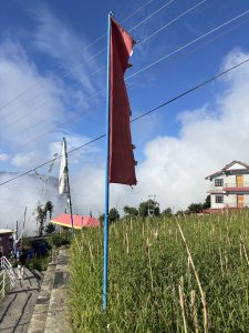 A blue flagpole with a tattered red flag stands beside a grassy area, with multiple utility wires running across a bright blue sky.