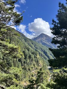 A breathtaking mountain landscape featuring towering peaks partially covered in snow, surrounded by lush green pine forests. 