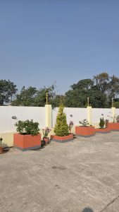 
A landscaped area with several decorative planters in vibrant shades of orange and grey, containing various plants, including flowers and small shrubs