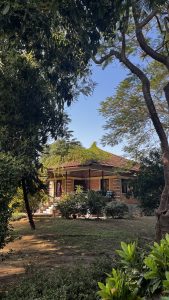 
A charming house with a red tile roof and brick walls is partially obscured by lush greenery in a garden setting. Surrounding the house are various trees and plants, creating a serene atmosphere.