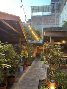 A peaceful outdoor garden path lined with potted plants in varying sizes and species.