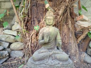 A green Buddha statue sits calmly among roots and stones outdoors.