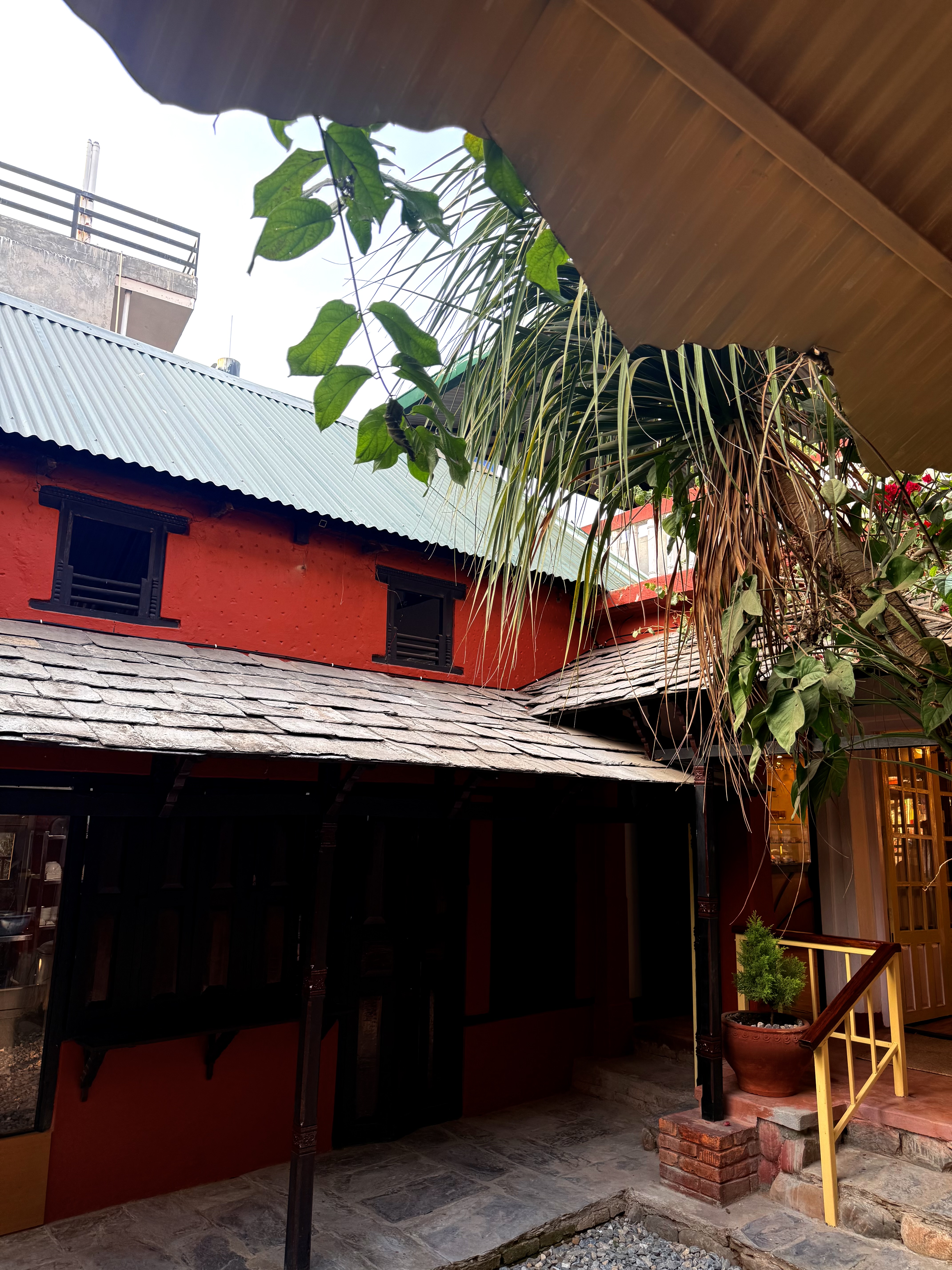 A colorful courtyard scene featuring a red building with black windows and a green metal roof. Lush green leaves from overhanging plants create a natural frame around the structure.