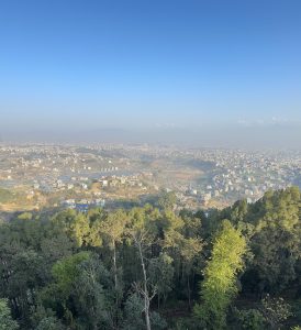 Dense forest looking at the hazy view of the city 

