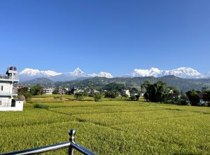 A wide view shows snow-capped mountains under a clear blue sky, with green rice fields, scattered houses, and trees in the foreground, blending nature and rural life.