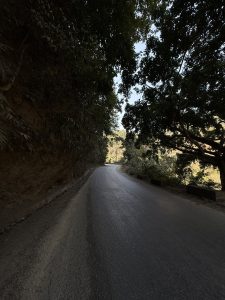 A winding road curves between dense greenery, with trees casting shadows over the pavement.