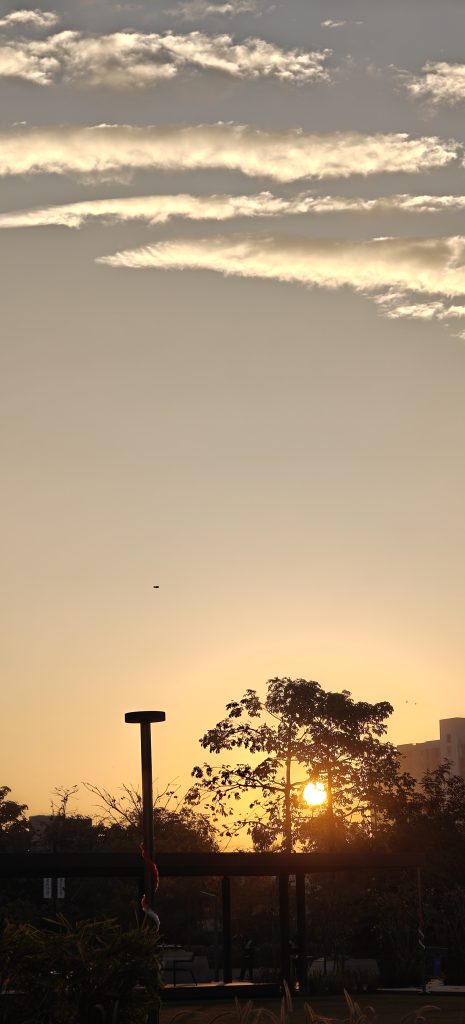 Golden sunrise behind trees and buildings, with soft streaks of clouds across a calm morning sky.