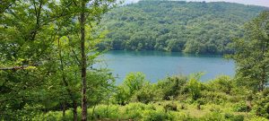 A peaceful view of Lafur Dam Lake in Mazandaran, surrounded by green forests and hills. Clear blue water reflects the summer sky, creating a calm and relaxing natural scene.
