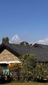 A clear blue sky serves as the backdrop for a picturesque scene. 