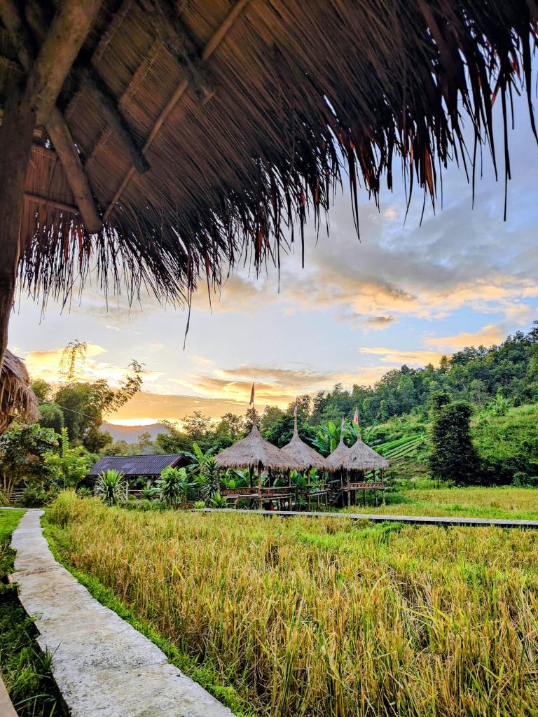 A peaceful rural scene near Luang Prabang, Laos, with golden rice fields, thatched huts, banana trees, and forested hills under a warm sunset sky.