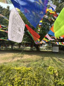 A vibrant array of colorful prayer flags fluttering in the breeze, with several flags displaying intricate designs and text