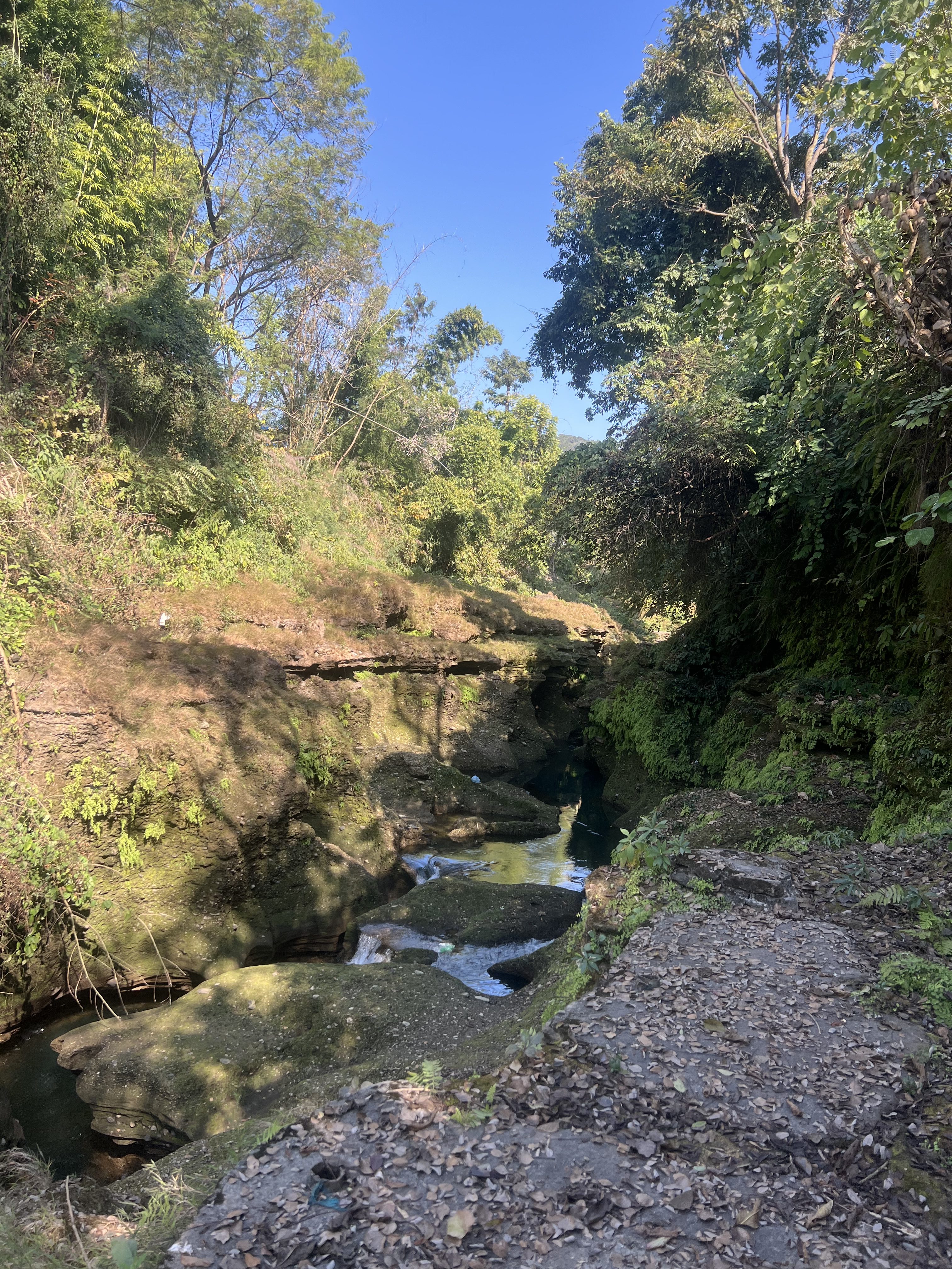 A serene landscape featuring a narrow stream flowing through rugged, moss-covered rocks