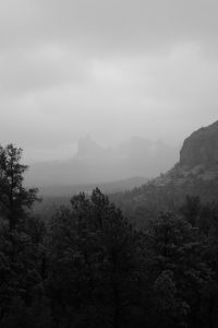 Black and white view of a desert scene in Sedona, Arizona where forest trees give way to big, foggy rock formations in the distance.