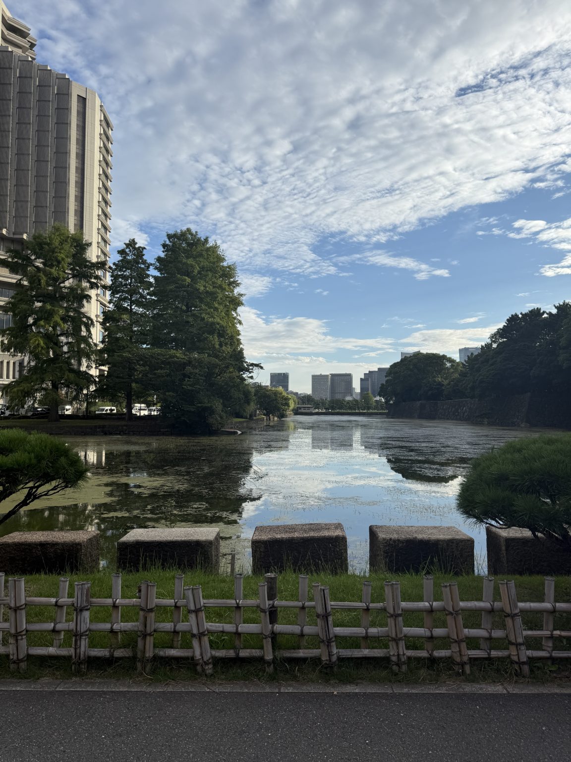 City park waterway with trees and skyline.
