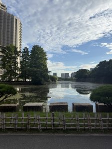 City park waterway with trees and skyline.