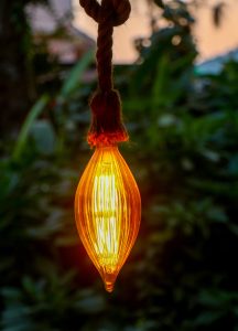 A vintage-style light bulb hangs from a braided rope, glowing with a warm orange light. Lush green plants fill the background, creating a calm, peaceful mood at twilight.