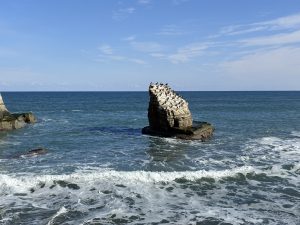 A rocky formation rising from the ocean with waves crashing at its base in the Cliffs of Isumi, Chiba.