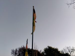 A tall flagpole displays several colorful flags against a clear sky, with treetops visible below.