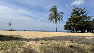 A wide view of a golden sandy beach under a blue sky, featuring a single tall palm tree and a small blue tent tucked under green trees.