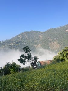 A scenic landscape featuring rolling hills covered in lush greenery. In the foreground, a field of bright yellow flowering plants is visible.