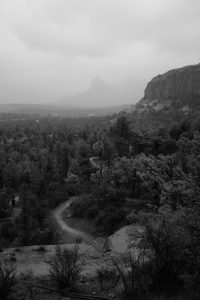 Black and white photo of a path cutting through a desert with forest trees around and big rock formations visible amongst the fog in the distance.