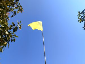 A bright yellow flag is waving in the wind, set against a clear blue sky.