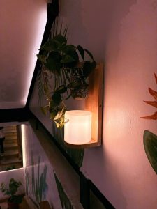A picture of a cozy indoor angle with the white electric lamp placed on a wall shelf and a few indoor plants.