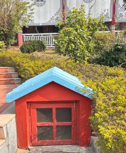 A small, colorful structure resembling a tiny house sits outdoors.