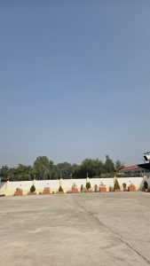 A wide, outdoor view of a paved area with scattered potted plants along a low wall. 
