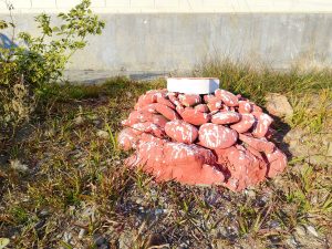 A small pile of red rocks in the grass, splattered with white. A white brick sits on top.