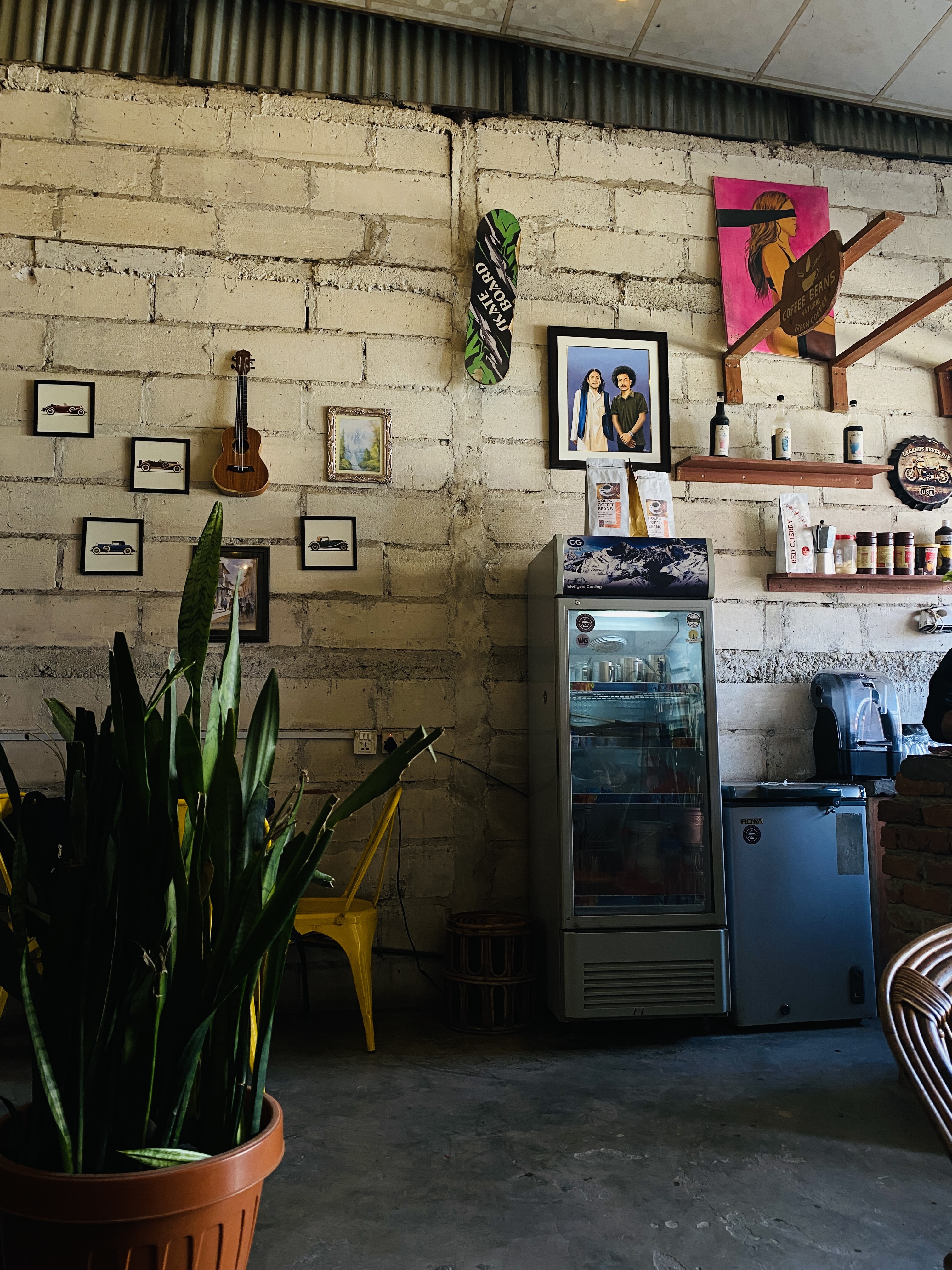 The image depicts an indoor cafe scene featuring a textured concrete wall adorned with various decorative elements, including framed pictures of cars and a small painting. A wooden ukulele hangs on the wall, along with a colorful skateboard. To the right, there is a large glass-fronted refrigerator filled with beverages, alongside a coffee machine. The floor is made of grey concrete, and a potted plant with long green leaves is positioned in the foreground, with yellow chairs visible in the background.