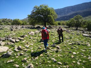 Hikers walk across a rocky green field toward large trees, with a steep limestone cliff rising in the background.