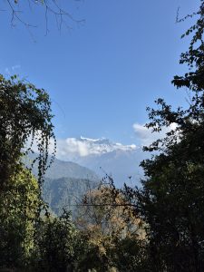 A scenic view of snow-capped mountains in the distance, partially obscured by clouds, framed by lush greenery in the foreground.
