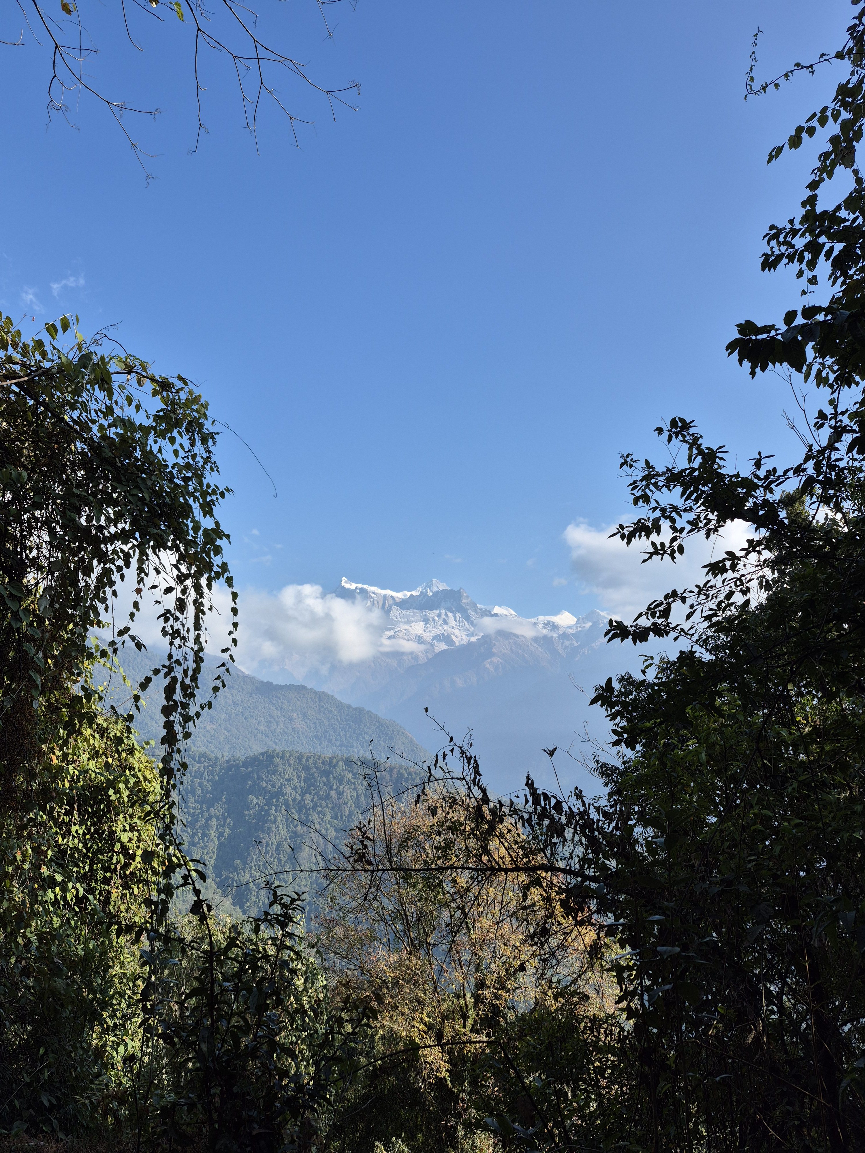 A scenic view of snow-capped mountains in the distance, partially obscured by clouds, framed by lush greenery in the foreground.