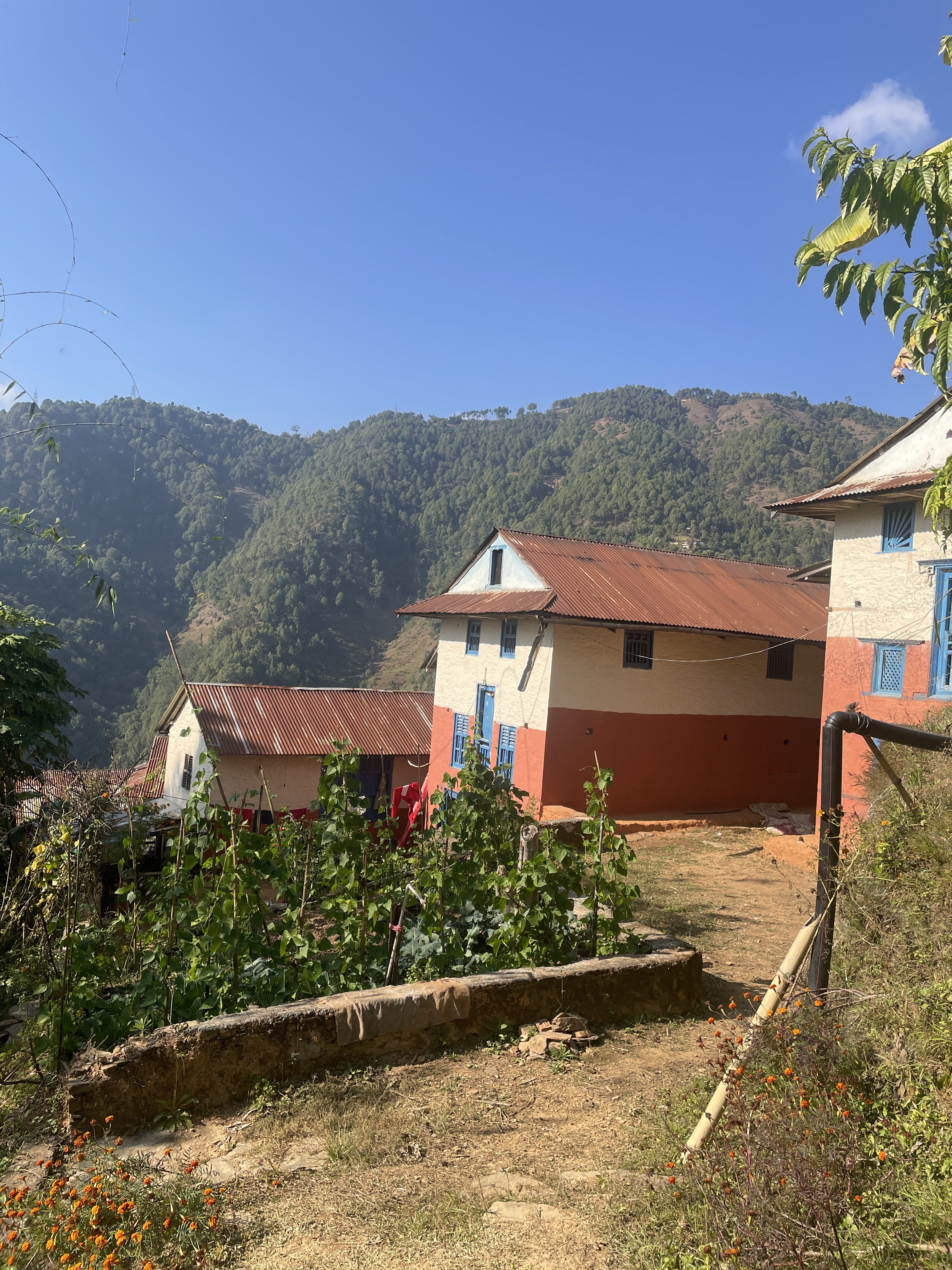A scenic rural landscape featuring two houses with colorful exteriors—one predominantly white with blue windows and another that is peach-colored
