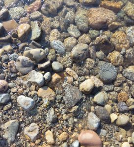 A collection of smooth, colorful pebbles submerged in shallow water, with sunlight reflecting off the surface, creating patterns and highlighting the textures of the stones.