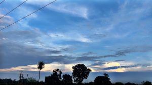 A scenic view of a vast sky filled with soft clouds in shades of blue and gray, transitioning to lighter hues near the horizon. Silhouetted against the sky are several trees, including a tall palm tree on the left.

