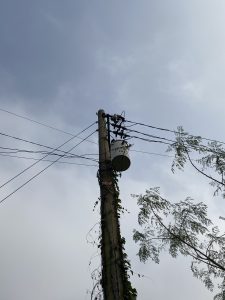 A tall utility pole with tangled wires set against a cloudy sky. The pole is partially covered with climbing vines. Nearby, tree branches reach into view.