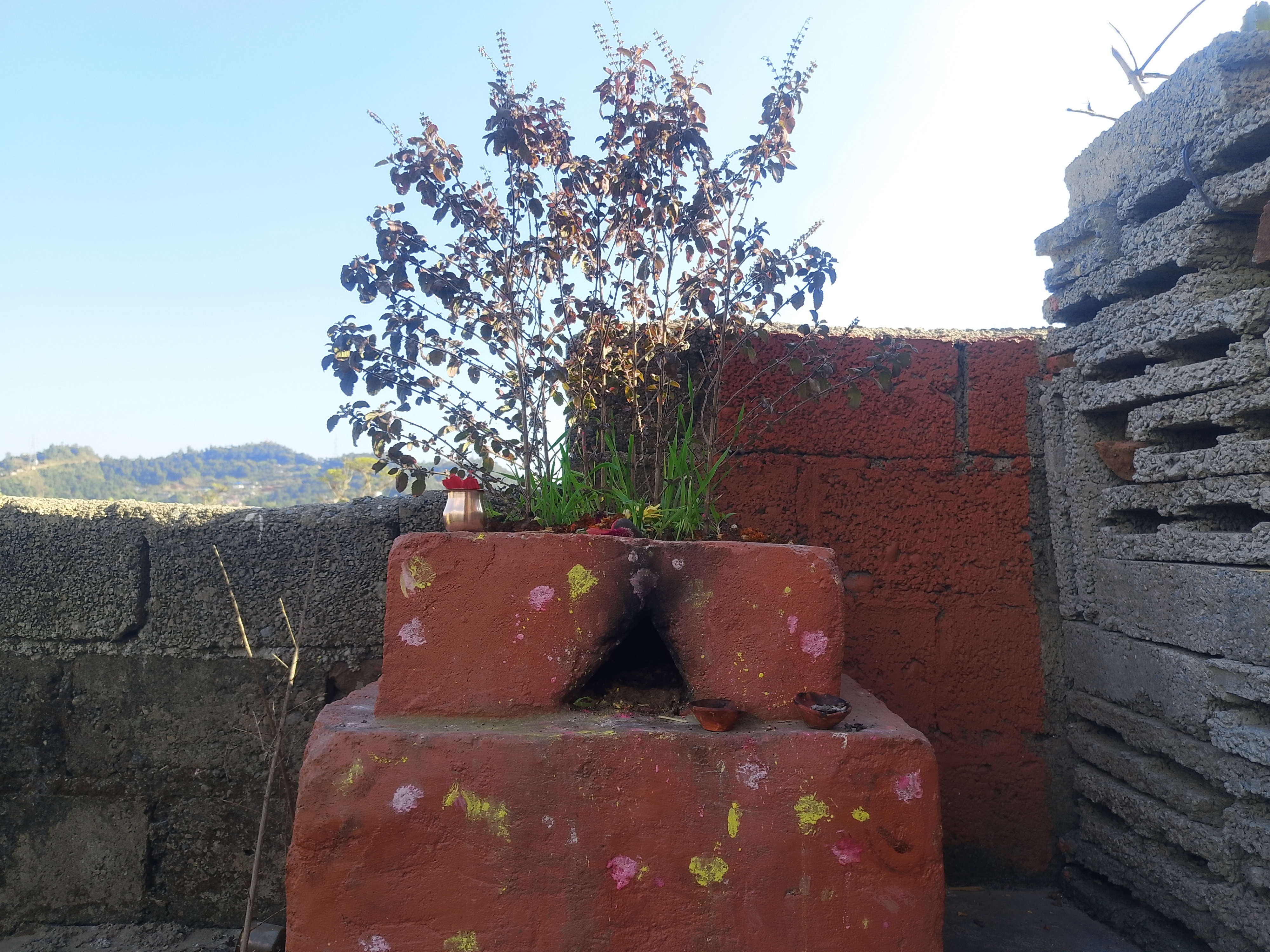 A small, multicolored painted Tulsi moth with a plant growing on top.