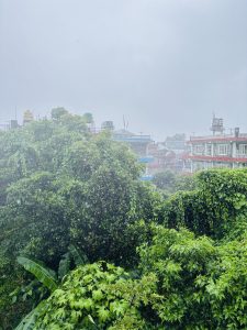 
A dense view of green foliage fills the foreground, consisting of various trees and plants, while behind them, rooftops of buildings are partially visible through a curtain of rain.