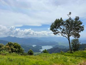 A panoramic view of a lush landscape featuring rolling mountains and a serene lake.