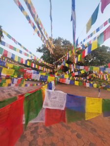 A vibrant display of colorful prayer flags is strung across a serene outdoor setting, with the flags in various shades of red, yellow, green, blue, and white. 