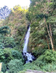 
A cascading waterfall flowing down a rocky cliff surrounded by lush greenery,