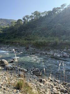 A serene riverside scene featuring a gently flowing river with clear blue-green water.