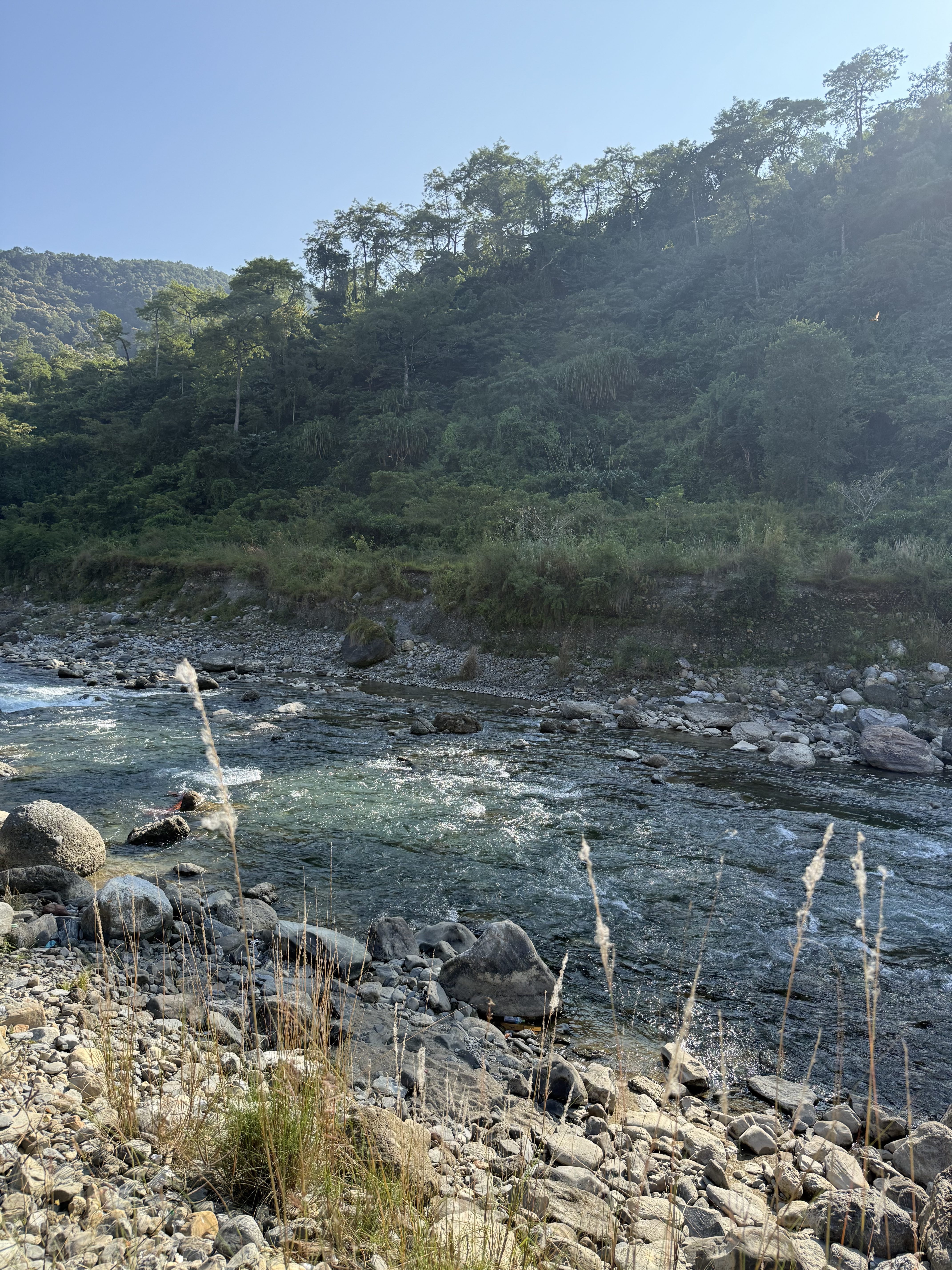 A serene riverside scene featuring a gently flowing river with clear blue-green water.